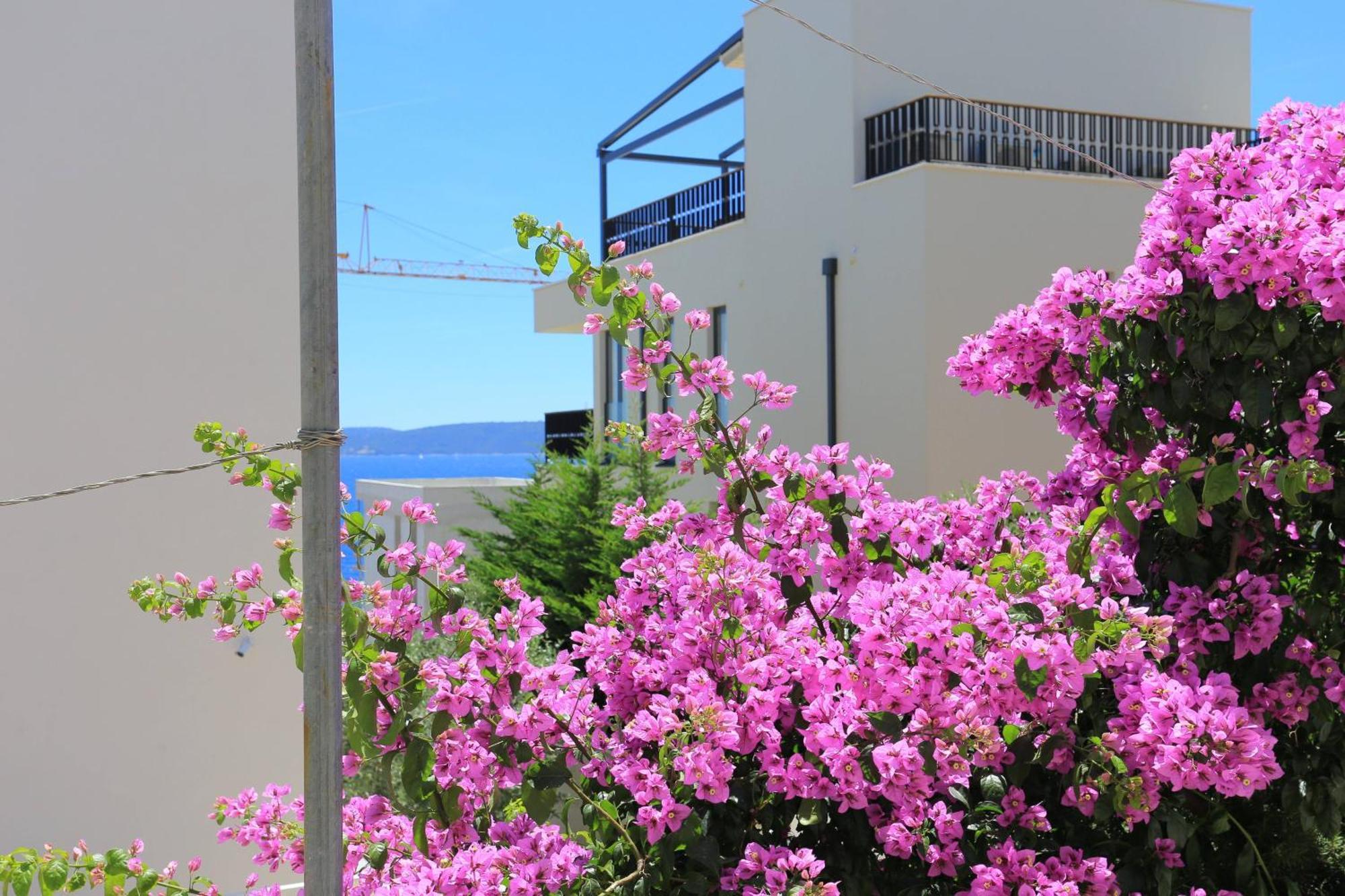 Family Friendly Apartments With A Swimming Pool Businci, Ciovo - 11232 โตรกีร์ ภายนอก รูปภาพ